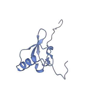 12261_7nbu_S_v2-1
Structure of the HigB1 toxin mutant K95A from Mycobacterium tuberculosis (Rv1955) and its target, the cspA mRNA, on the E. coli Ribosome.