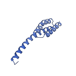 12261_7nbu_T_v2-1
Structure of the HigB1 toxin mutant K95A from Mycobacterium tuberculosis (Rv1955) and its target, the cspA mRNA, on the E. coli Ribosome.