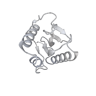 12261_7nbu_Y_v2-1
Structure of the HigB1 toxin mutant K95A from Mycobacterium tuberculosis (Rv1955) and its target, the cspA mRNA, on the E. coli Ribosome.