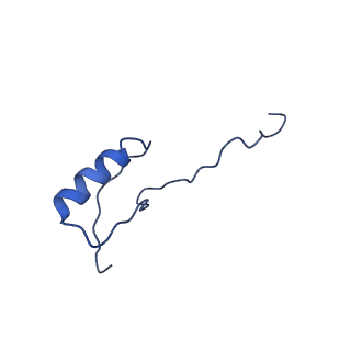 12261_7nbu_Z_v2-1
Structure of the HigB1 toxin mutant K95A from Mycobacterium tuberculosis (Rv1955) and its target, the cspA mRNA, on the E. coli Ribosome.