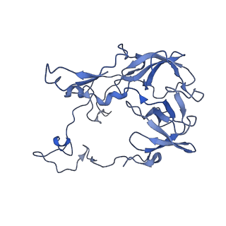 12261_7nbu_c_v1-1
Structure of the HigB1 toxin mutant K95A from Mycobacterium tuberculosis (Rv1955) and its target, the cspA mRNA, on the E. coli Ribosome.