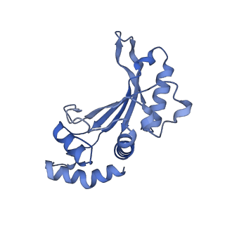 12261_7nbu_f_v1-1
Structure of the HigB1 toxin mutant K95A from Mycobacterium tuberculosis (Rv1955) and its target, the cspA mRNA, on the E. coli Ribosome.