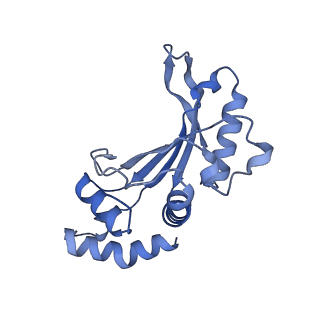 12261_7nbu_f_v2-1
Structure of the HigB1 toxin mutant K95A from Mycobacterium tuberculosis (Rv1955) and its target, the cspA mRNA, on the E. coli Ribosome.