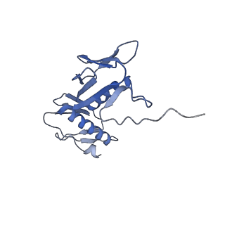 12261_7nbu_g_v2-0
Structure of the HigB1 toxin mutant K95A from Mycobacterium tuberculosis (Rv1955) and its target, the cspA mRNA, on the E. coli Ribosome.