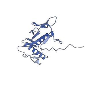 12261_7nbu_g_v2-1
Structure of the HigB1 toxin mutant K95A from Mycobacterium tuberculosis (Rv1955) and its target, the cspA mRNA, on the E. coli Ribosome.