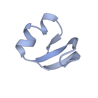 12261_7nbu_h_v2-1
Structure of the HigB1 toxin mutant K95A from Mycobacterium tuberculosis (Rv1955) and its target, the cspA mRNA, on the E. coli Ribosome.