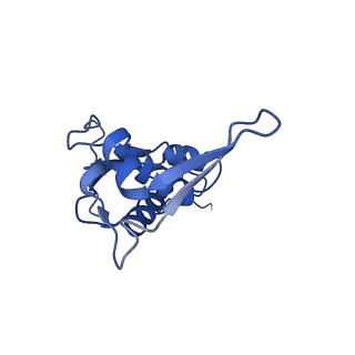 12261_7nbu_i_v2-0
Structure of the HigB1 toxin mutant K95A from Mycobacterium tuberculosis (Rv1955) and its target, the cspA mRNA, on the E. coli Ribosome.