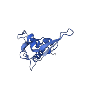 12261_7nbu_i_v2-1
Structure of the HigB1 toxin mutant K95A from Mycobacterium tuberculosis (Rv1955) and its target, the cspA mRNA, on the E. coli Ribosome.