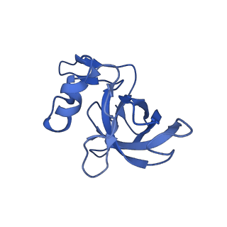 12261_7nbu_j_v1-1
Structure of the HigB1 toxin mutant K95A from Mycobacterium tuberculosis (Rv1955) and its target, the cspA mRNA, on the E. coli Ribosome.