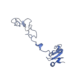 12261_7nbu_k_v2-1
Structure of the HigB1 toxin mutant K95A from Mycobacterium tuberculosis (Rv1955) and its target, the cspA mRNA, on the E. coli Ribosome.