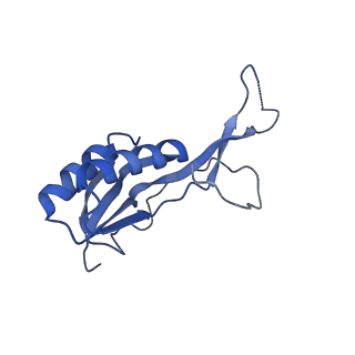 12261_7nbu_l_v1-1
Structure of the HigB1 toxin mutant K95A from Mycobacterium tuberculosis (Rv1955) and its target, the cspA mRNA, on the E. coli Ribosome.