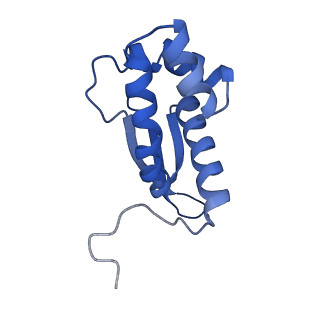 12261_7nbu_m_v1-1
Structure of the HigB1 toxin mutant K95A from Mycobacterium tuberculosis (Rv1955) and its target, the cspA mRNA, on the E. coli Ribosome.