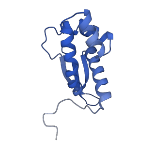 12261_7nbu_m_v2-1
Structure of the HigB1 toxin mutant K95A from Mycobacterium tuberculosis (Rv1955) and its target, the cspA mRNA, on the E. coli Ribosome.