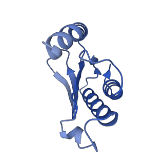 12261_7nbu_n_v2-1
Structure of the HigB1 toxin mutant K95A from Mycobacterium tuberculosis (Rv1955) and its target, the cspA mRNA, on the E. coli Ribosome.