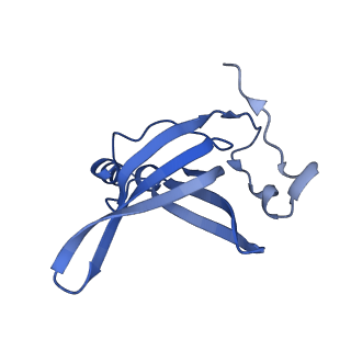12261_7nbu_o_v1-1
Structure of the HigB1 toxin mutant K95A from Mycobacterium tuberculosis (Rv1955) and its target, the cspA mRNA, on the E. coli Ribosome.