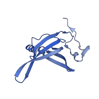 12261_7nbu_o_v2-1
Structure of the HigB1 toxin mutant K95A from Mycobacterium tuberculosis (Rv1955) and its target, the cspA mRNA, on the E. coli Ribosome.