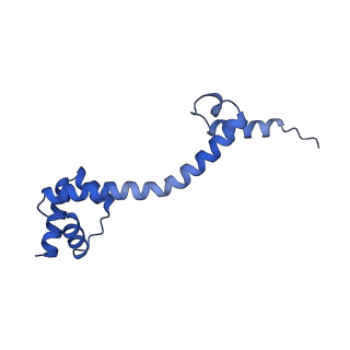 12261_7nbu_p_v1-1
Structure of the HigB1 toxin mutant K95A from Mycobacterium tuberculosis (Rv1955) and its target, the cspA mRNA, on the E. coli Ribosome.