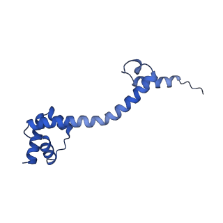 12261_7nbu_p_v2-1
Structure of the HigB1 toxin mutant K95A from Mycobacterium tuberculosis (Rv1955) and its target, the cspA mRNA, on the E. coli Ribosome.