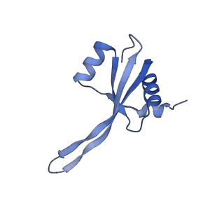 12261_7nbu_s_v1-1
Structure of the HigB1 toxin mutant K95A from Mycobacterium tuberculosis (Rv1955) and its target, the cspA mRNA, on the E. coli Ribosome.