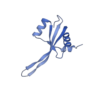 12261_7nbu_s_v2-1
Structure of the HigB1 toxin mutant K95A from Mycobacterium tuberculosis (Rv1955) and its target, the cspA mRNA, on the E. coli Ribosome.