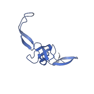 12261_7nbu_t_v1-1
Structure of the HigB1 toxin mutant K95A from Mycobacterium tuberculosis (Rv1955) and its target, the cspA mRNA, on the E. coli Ribosome.