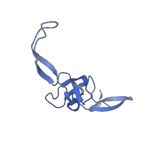 12261_7nbu_t_v2-1
Structure of the HigB1 toxin mutant K95A from Mycobacterium tuberculosis (Rv1955) and its target, the cspA mRNA, on the E. coli Ribosome.