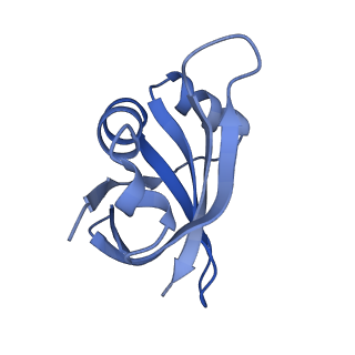 12261_7nbu_u_v2-1
Structure of the HigB1 toxin mutant K95A from Mycobacterium tuberculosis (Rv1955) and its target, the cspA mRNA, on the E. coli Ribosome.