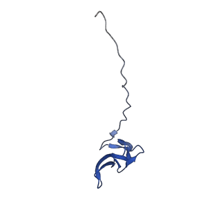 12261_7nbu_v_v2-1
Structure of the HigB1 toxin mutant K95A from Mycobacterium tuberculosis (Rv1955) and its target, the cspA mRNA, on the E. coli Ribosome.