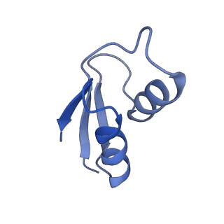 12261_7nbu_y_v1-1
Structure of the HigB1 toxin mutant K95A from Mycobacterium tuberculosis (Rv1955) and its target, the cspA mRNA, on the E. coli Ribosome.