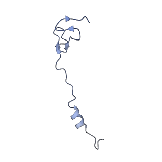 12261_7nbu_z_v1-1
Structure of the HigB1 toxin mutant K95A from Mycobacterium tuberculosis (Rv1955) and its target, the cspA mRNA, on the E. coli Ribosome.