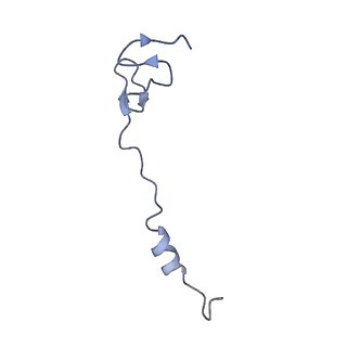 12261_7nbu_z_v2-1
Structure of the HigB1 toxin mutant K95A from Mycobacterium tuberculosis (Rv1955) and its target, the cspA mRNA, on the E. coli Ribosome.