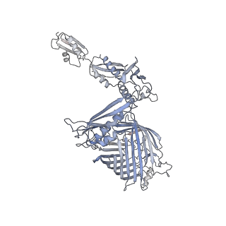 12262_7nbx_A_v1-1
Lateral-open conformation of the lid-locked BAM complex (BamA E435C S665C, BamBDCE) by cryoEM