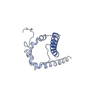 0434_6nc3_B_v1-2
AMC011 v4.2 SOSIP Env trimer in complex with fusion peptide targeting antibody VRC34 fragment antigen binding
