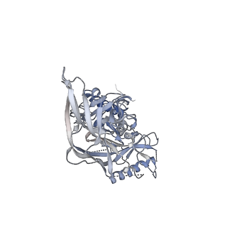 0434_6nc3_C_v1-2
AMC011 v4.2 SOSIP Env trimer in complex with fusion peptide targeting antibody VRC34 fragment antigen binding