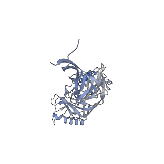 0434_6nc3_F_v1-2
AMC011 v4.2 SOSIP Env trimer in complex with fusion peptide targeting antibody VRC34 fragment antigen binding