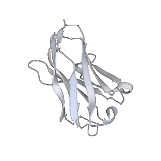 0434_6nc3_H_v1-2
AMC011 v4.2 SOSIP Env trimer in complex with fusion peptide targeting antibody VRC34 fragment antigen binding