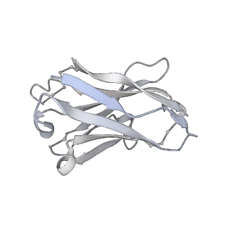 0434_6nc3_P_v2-0
AMC011 v4.2 SOSIP Env trimer in complex with fusion peptide targeting antibody VRC34 fragment antigen binding