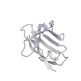 0434_6nc3_T_v1-2
AMC011 v4.2 SOSIP Env trimer in complex with fusion peptide targeting antibody VRC34 fragment antigen binding