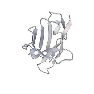 0434_6nc3_U_v1-2
AMC011 v4.2 SOSIP Env trimer in complex with fusion peptide targeting antibody VRC34 fragment antigen binding
