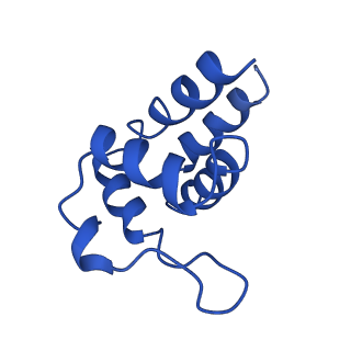 0438_6ncv_A_v1-4
Cryo-EM structure of NLRP6 PYD filament