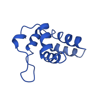 0438_6ncv_B_v1-4
Cryo-EM structure of NLRP6 PYD filament