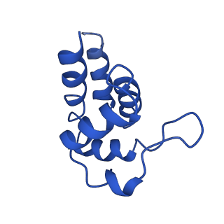 0438_6ncv_C_v1-4
Cryo-EM structure of NLRP6 PYD filament