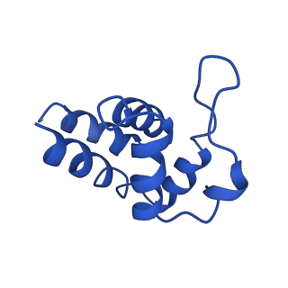 0438_6ncv_D_v1-4
Cryo-EM structure of NLRP6 PYD filament