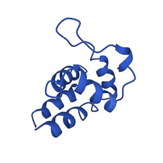 0438_6ncv_E_v1-4
Cryo-EM structure of NLRP6 PYD filament