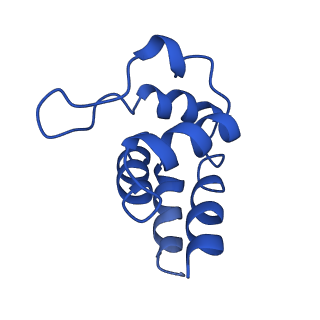 0438_6ncv_F_v1-4
Cryo-EM structure of NLRP6 PYD filament