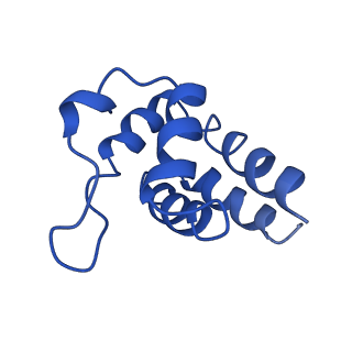 0438_6ncv_G_v1-4
Cryo-EM structure of NLRP6 PYD filament