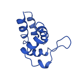 0438_6ncv_H_v1-4
Cryo-EM structure of NLRP6 PYD filament