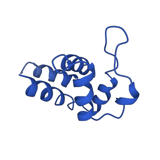 0438_6ncv_I_v1-4
Cryo-EM structure of NLRP6 PYD filament