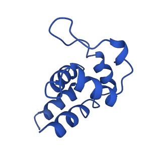 0438_6ncv_J_v1-4
Cryo-EM structure of NLRP6 PYD filament