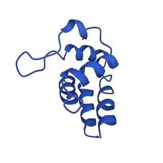 0438_6ncv_K_v1-4
Cryo-EM structure of NLRP6 PYD filament